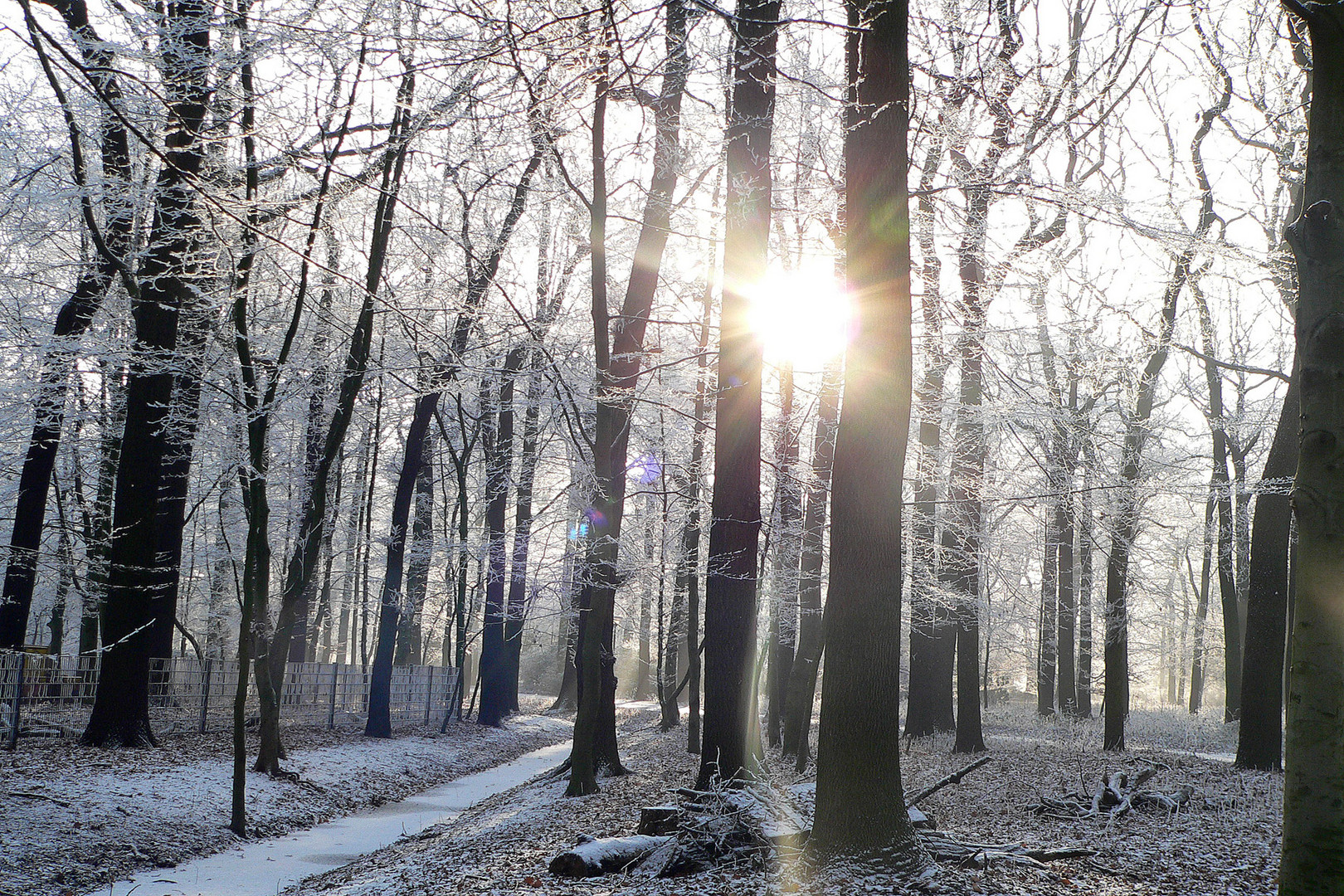 Letzte Sonnenstrahlen