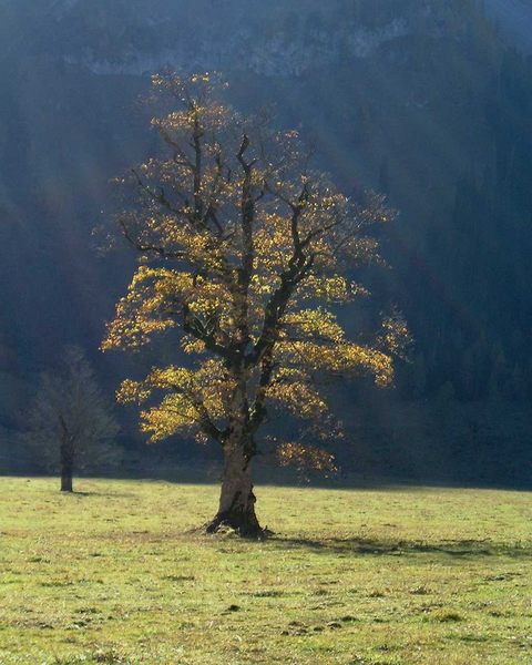 Letzte Sonnenstrahlen