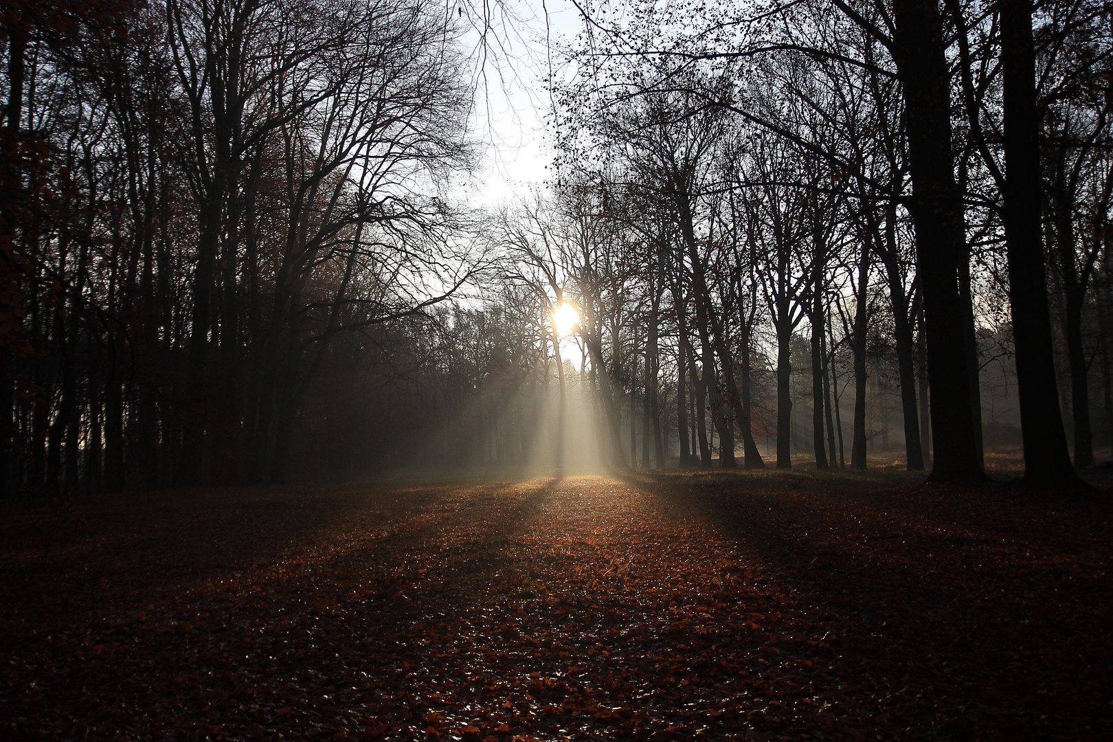 letzte Sonnenstrahlen