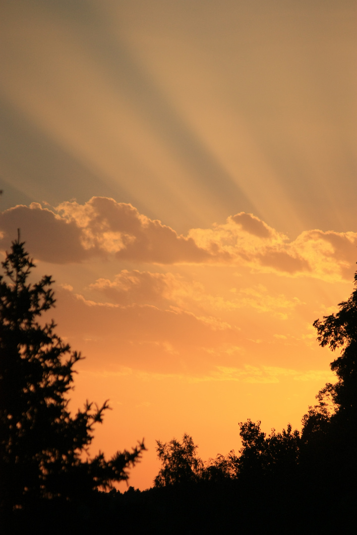 Letzte Sonnenstrahlen des Tages