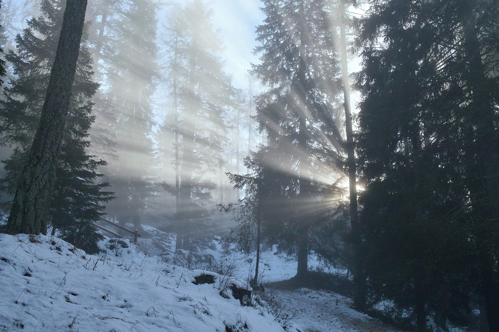 Letzte Sonnenstrahlen