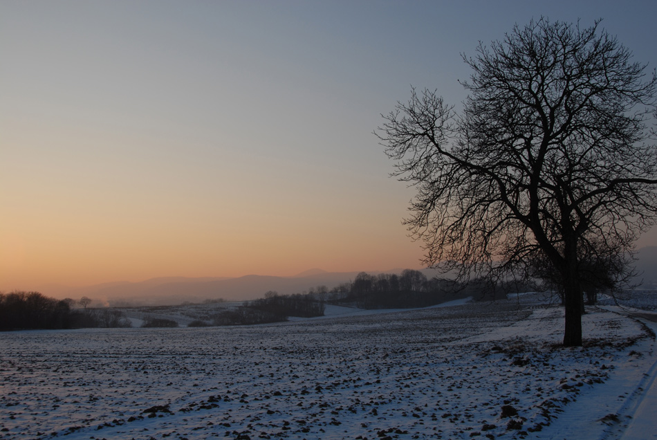 Letzte Sonnenstrahlen