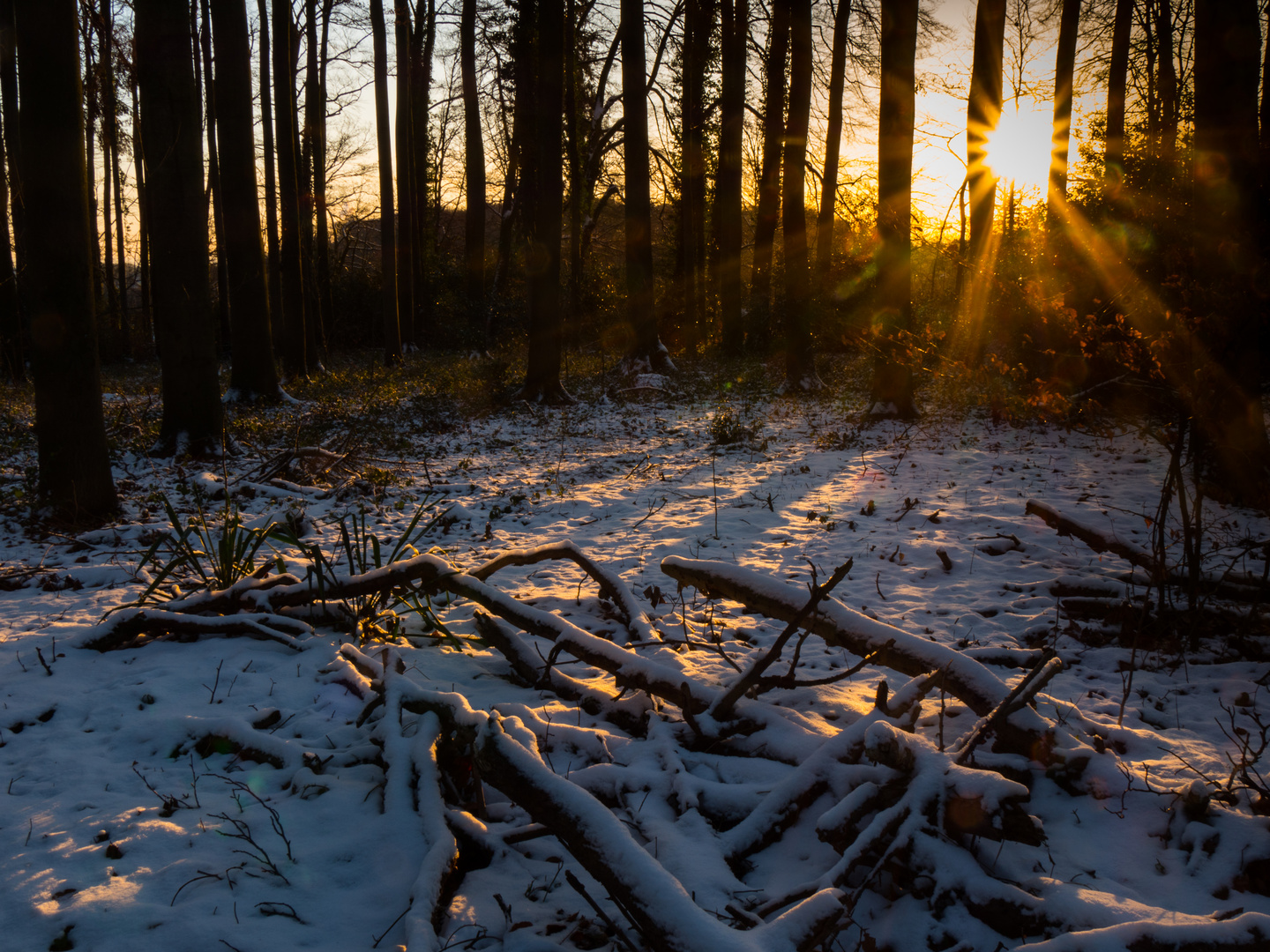 Letzte Sonnenstrahlen