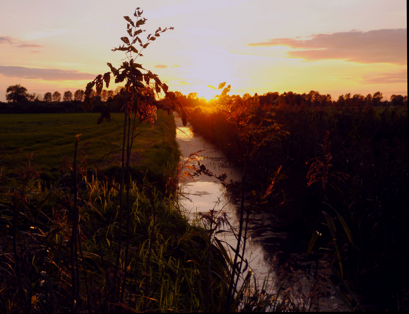 Letzte Sonnenstrahlen