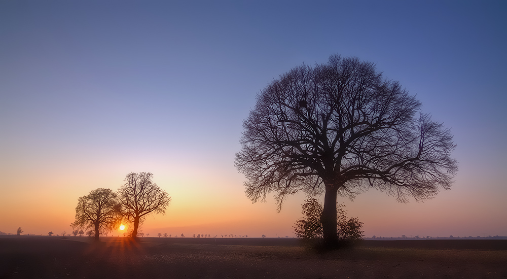 Letzte Sonnenstrahlen