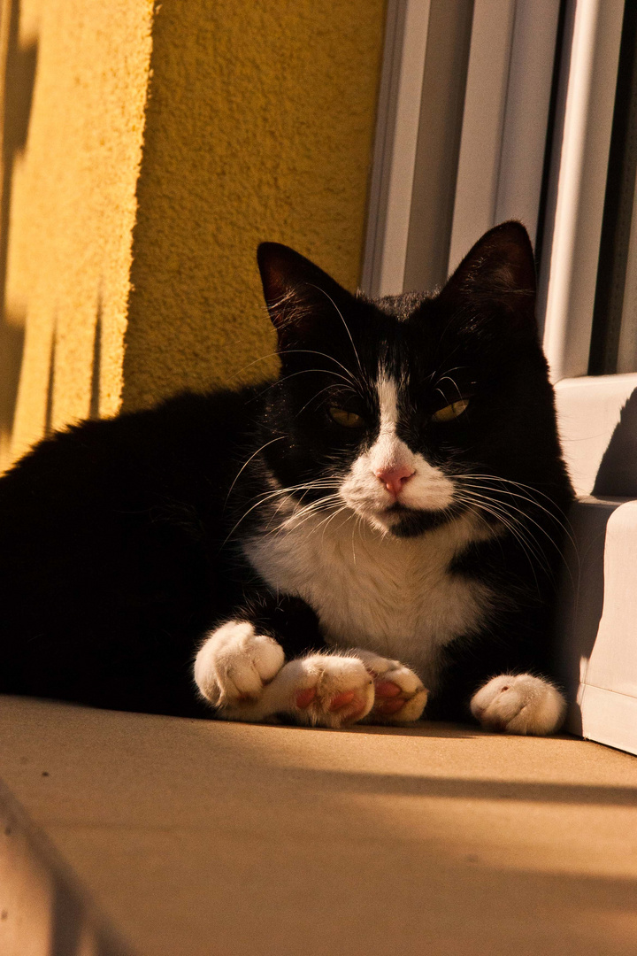 letzte Sonnenstrahlen geniessen