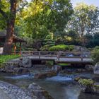 Letzte Sonnenstrahlen im Japanischen Garten Augsburg