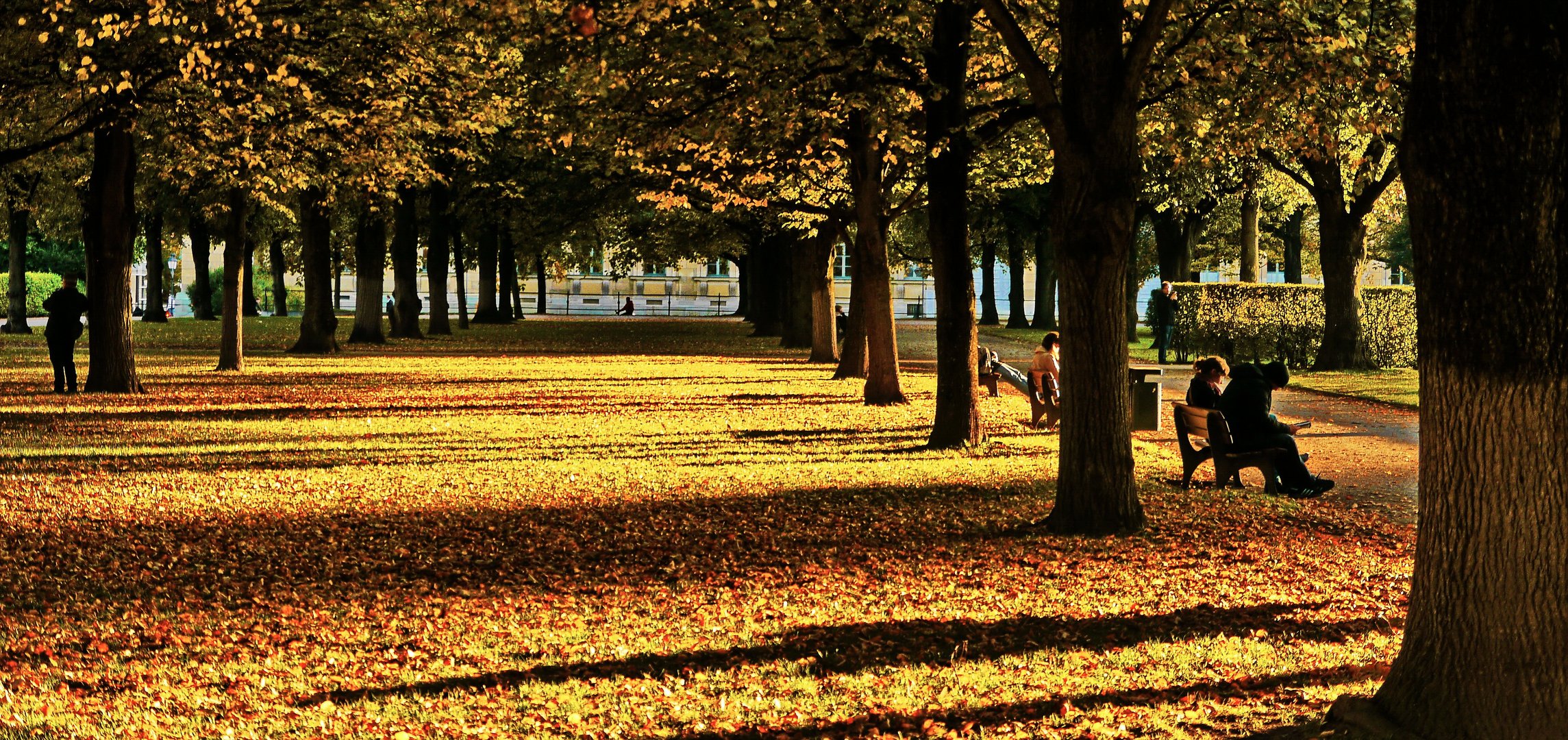 Letzte Sonnenstrahlen im Park