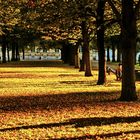 Letzte Sonnenstrahlen im Park