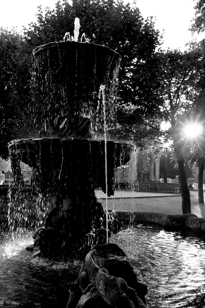 Letzte Sonnenstrahlen im Zwinger