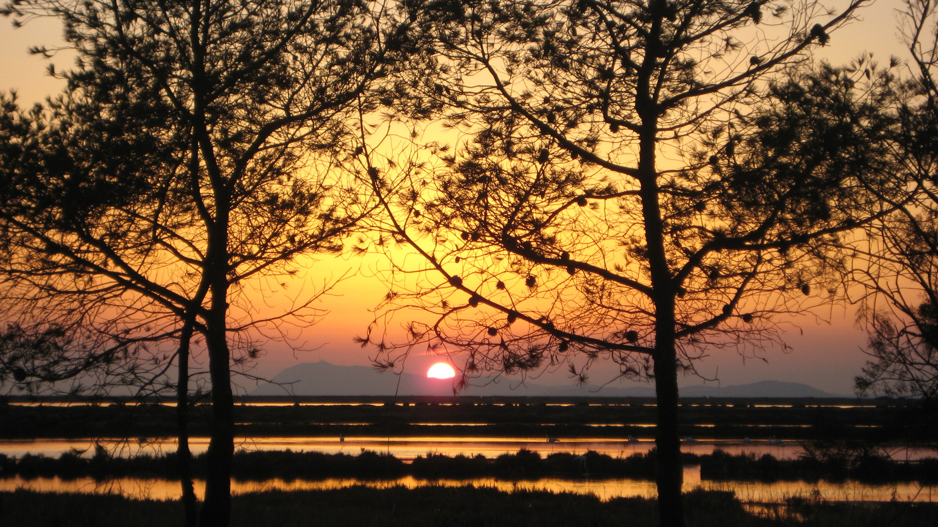 Letzte Sonnenstrahlen küssen den Strand