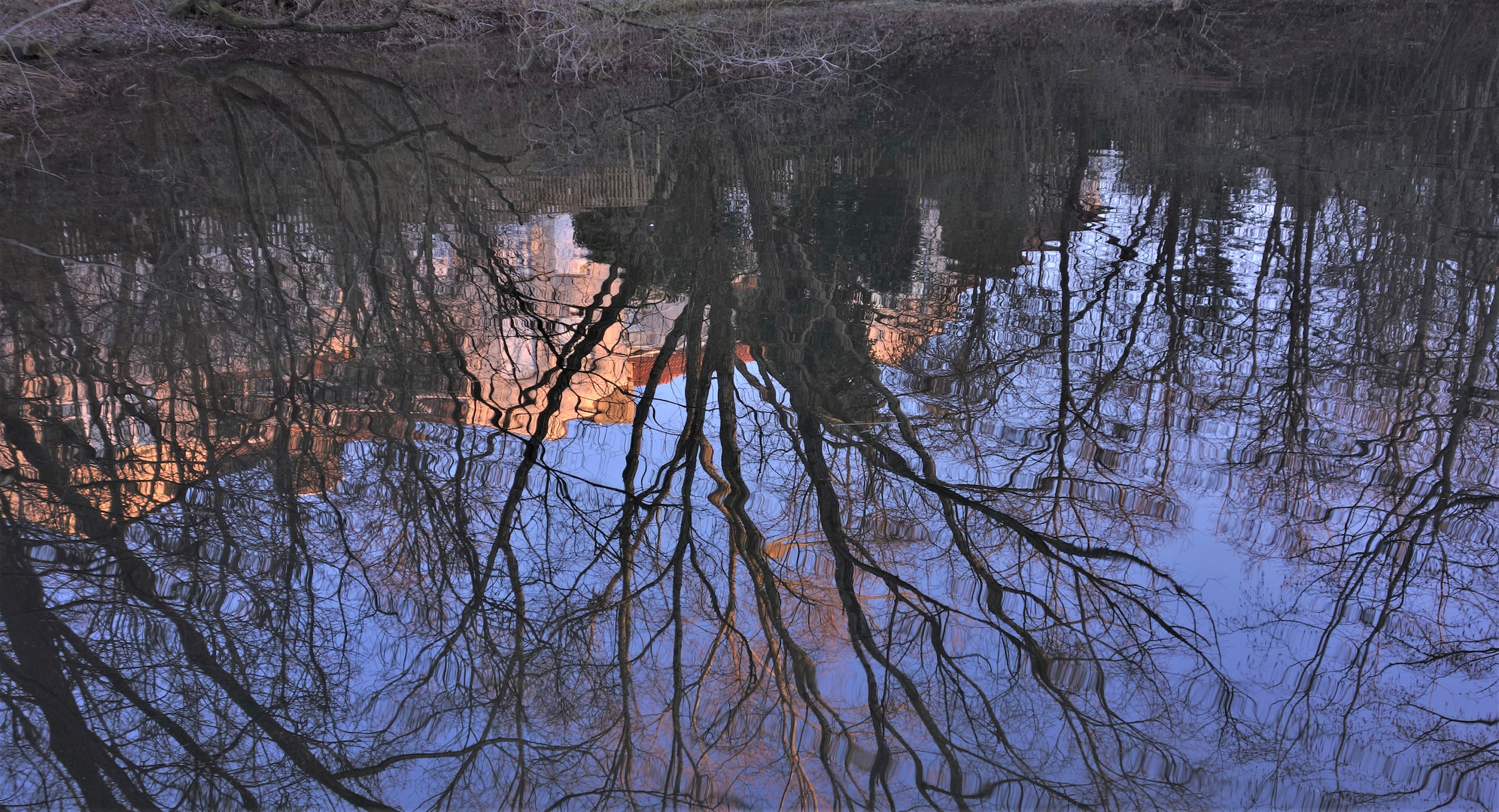 Letzte Sonnenstrahlen spiegeln sich im kleinen Weiher