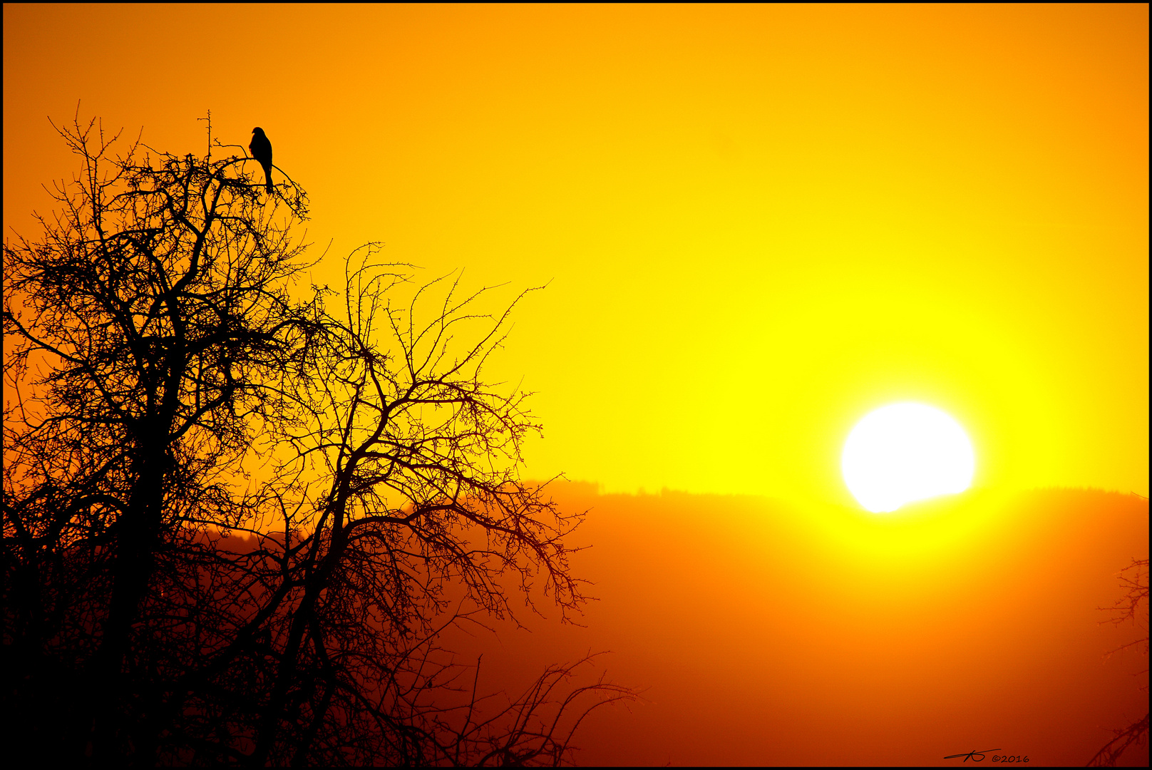 Letzte Sonnenstrahlen tanken