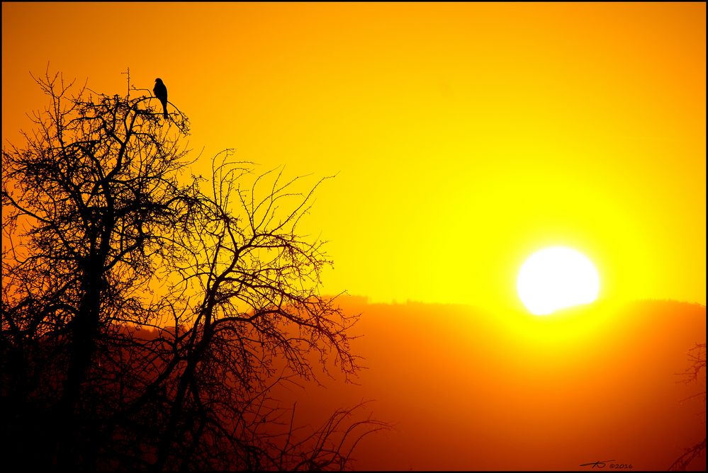 Letzte Sonnenstrahlen tanken