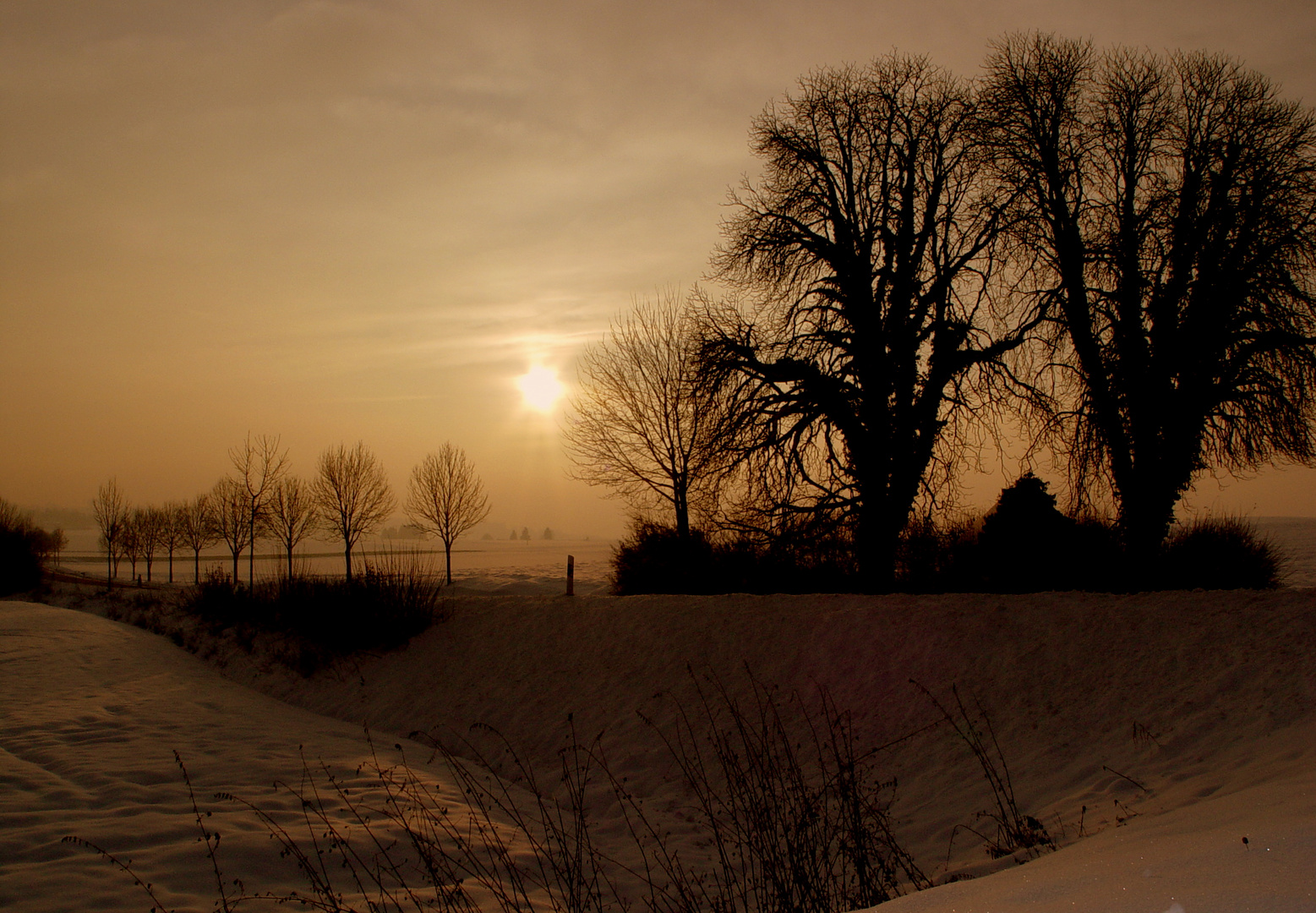 Letzte Sonnenstunden