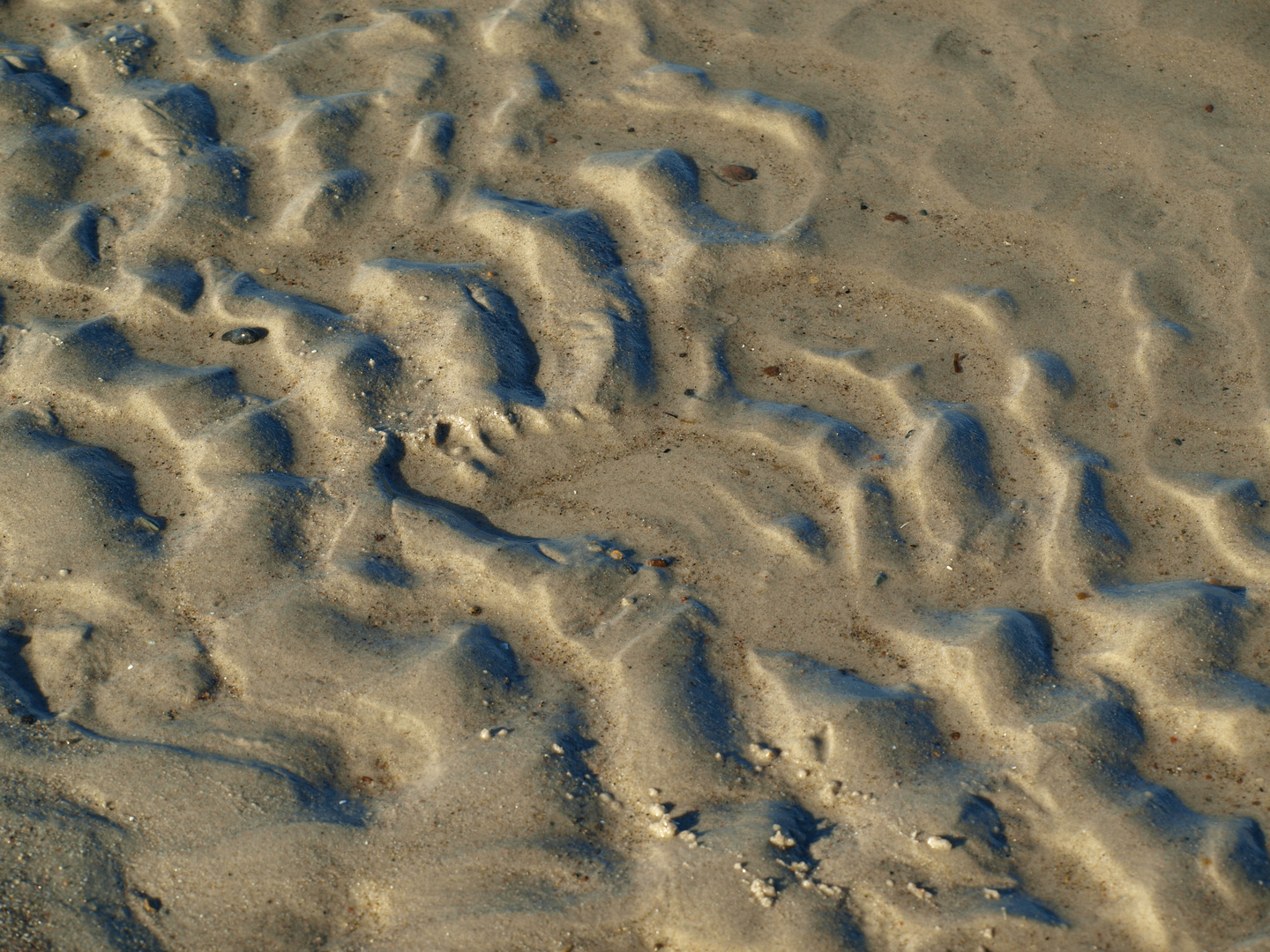 letzte Spuren im Sand