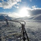 letzte Spuren im Schnee