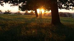 Landschaft, Natur