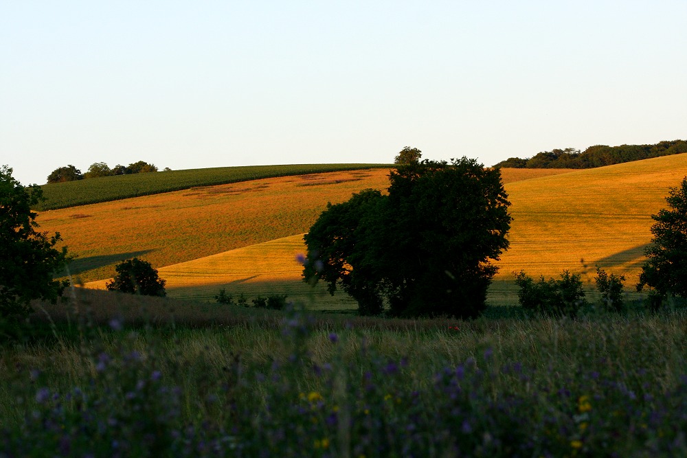 Letzte Strahlen