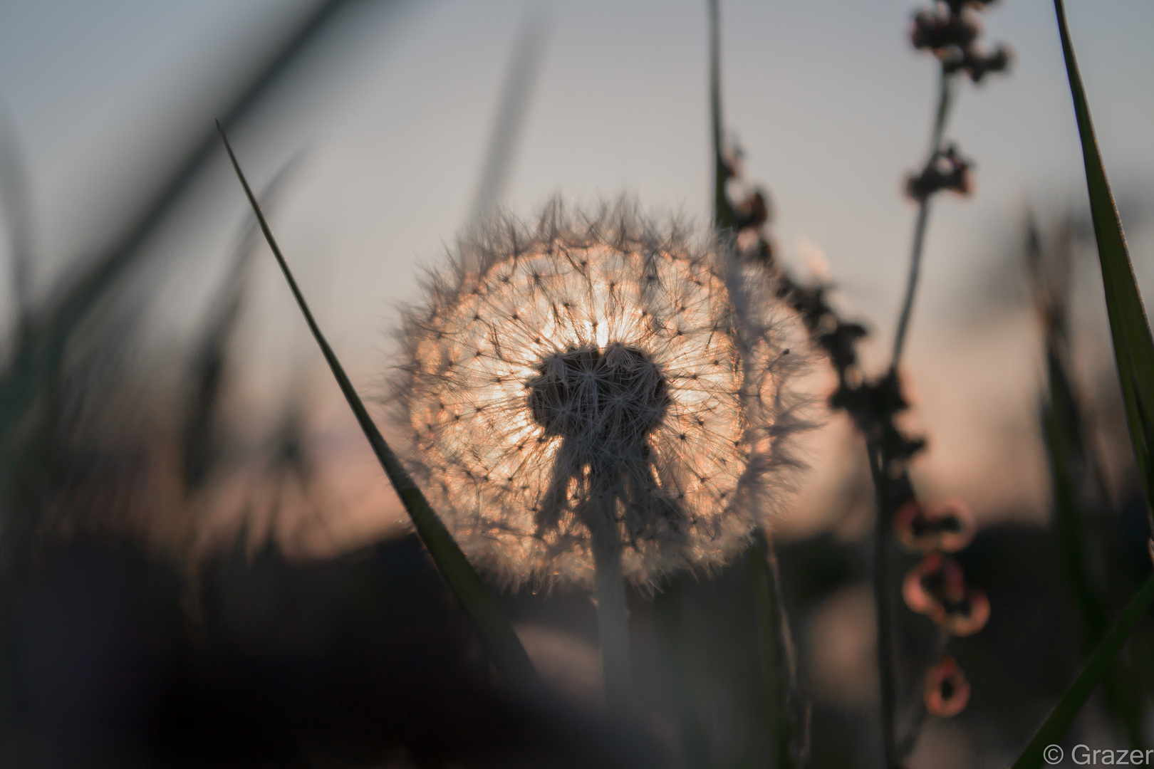 Letzte Stück Sonne