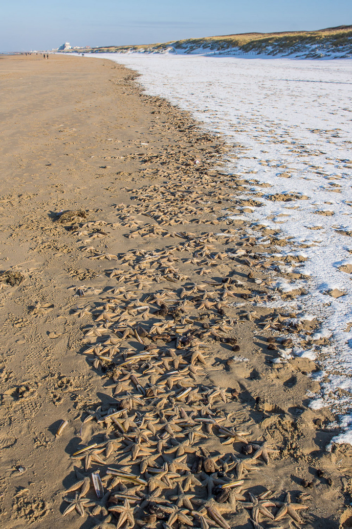 Letzte Tage am Strand . . . (1)