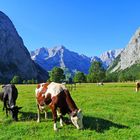 LETZTE TAGE AUF DER ALM