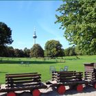 LETZTE TAGE IM PARK