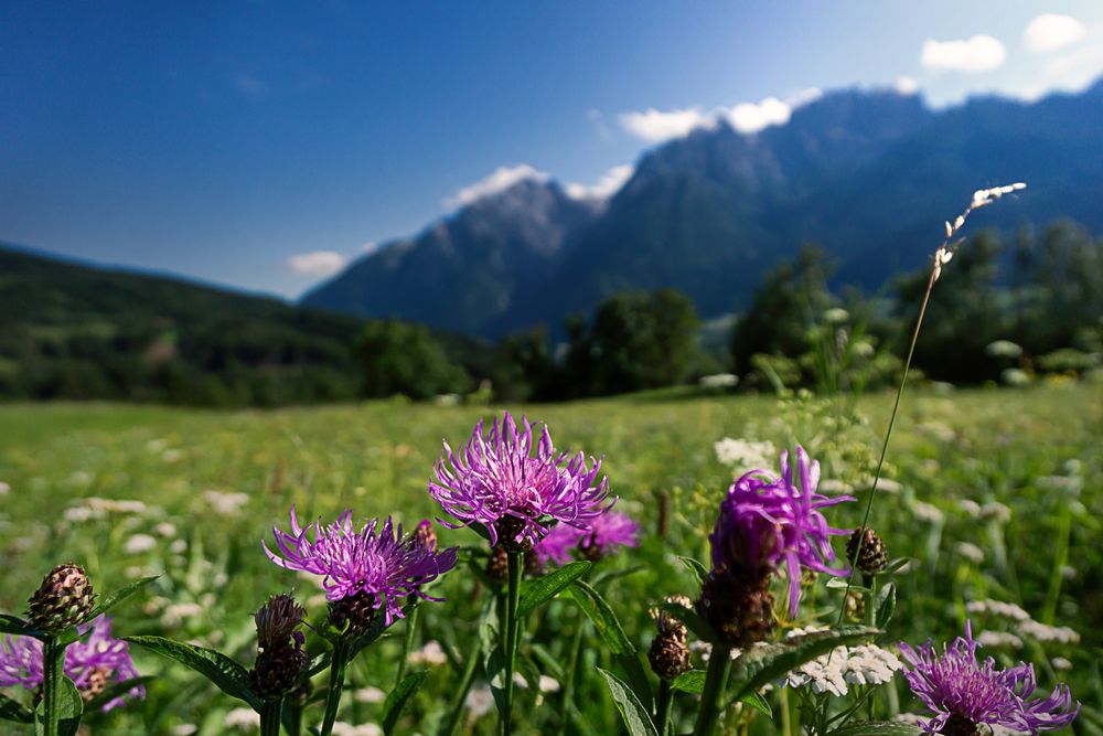 Letzte Tage im Sommer