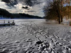 letzte Wintereindrücke am Obersee