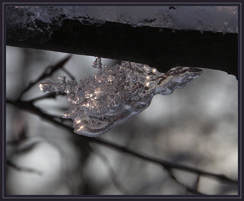 Letzte Wintergrüße