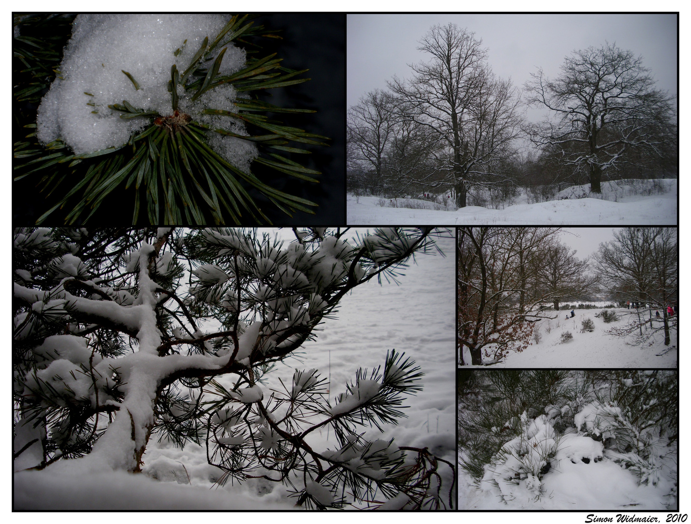 Letzte Winterimpressionen....