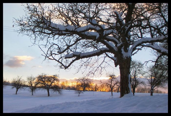 Letzte Wintersonne