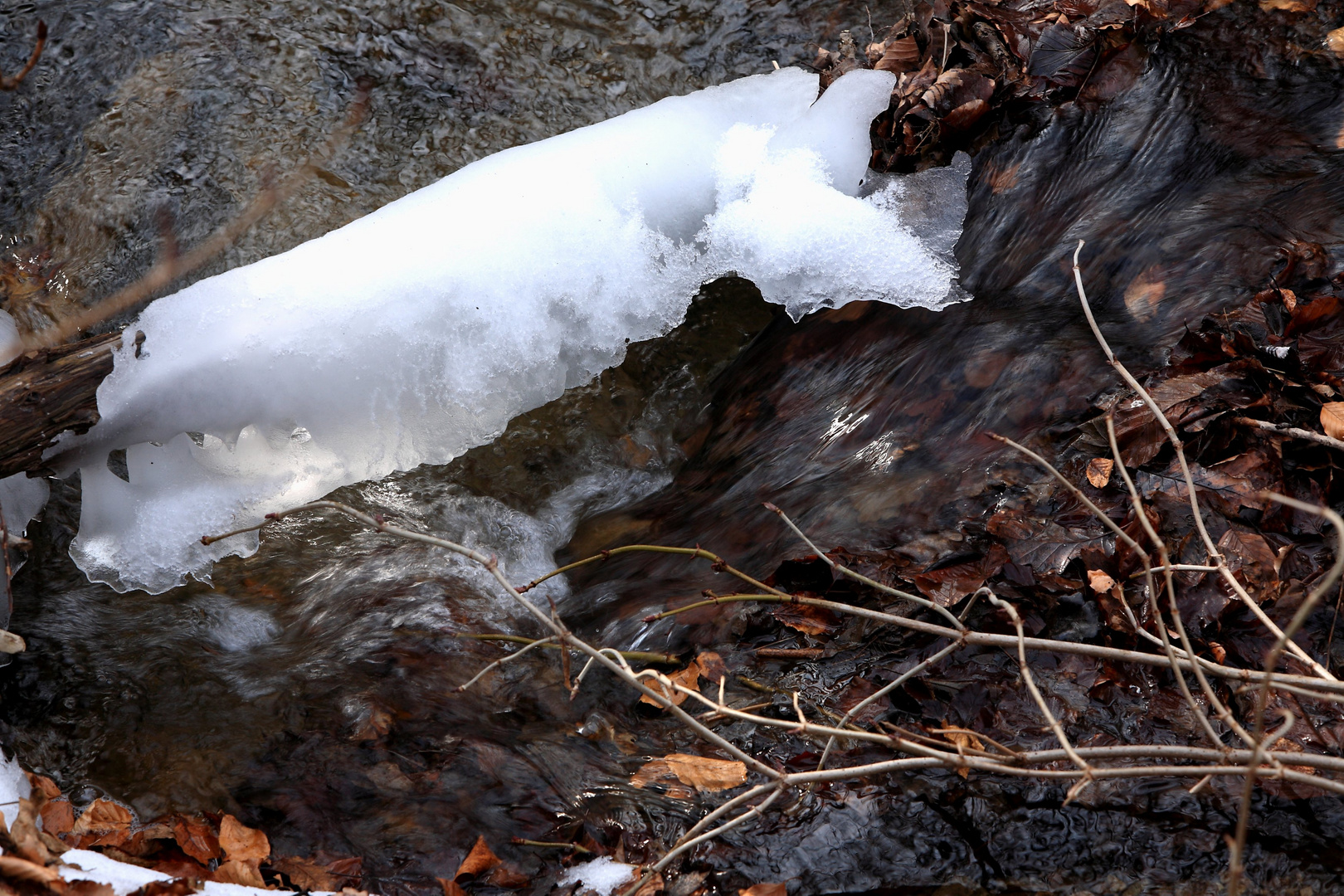 Letzte Winterspuren (2)