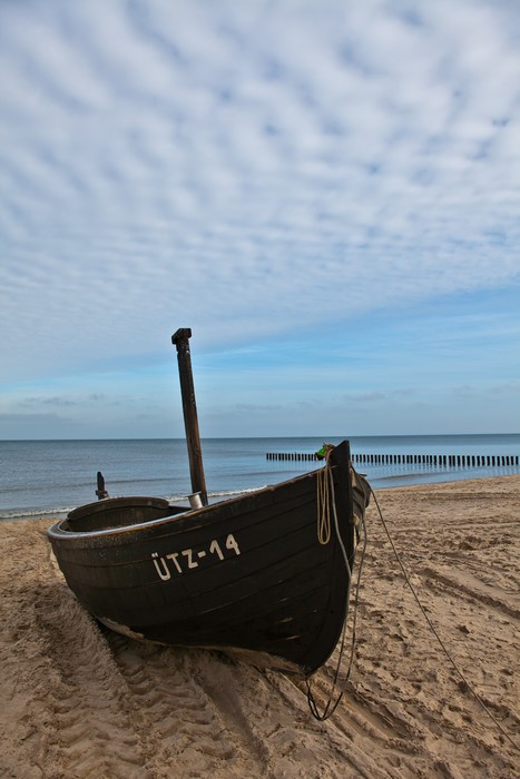 Letzte Winterzüge 2012 auf Usedom