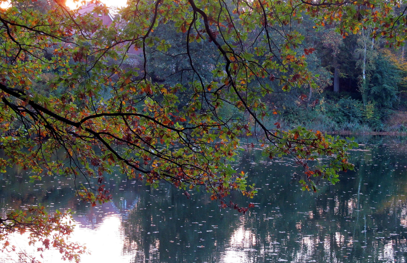 letzte Woche am Badesee... 