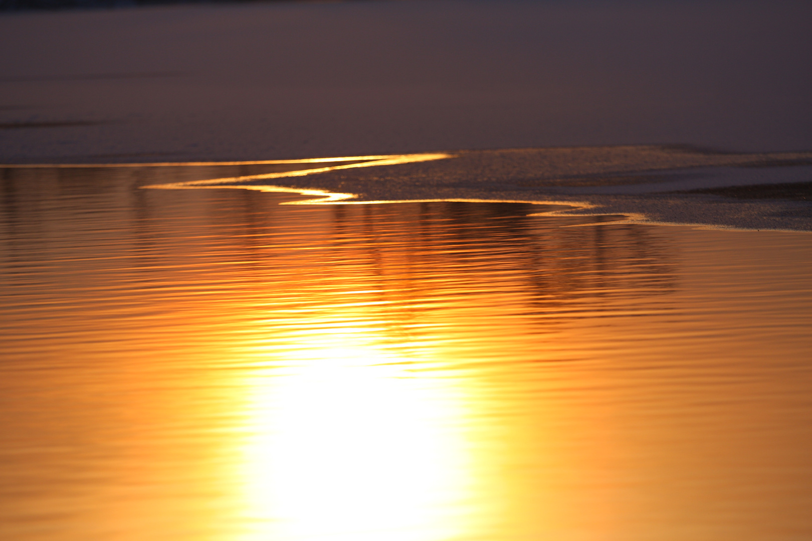 letzte Woche am Weikerlsee