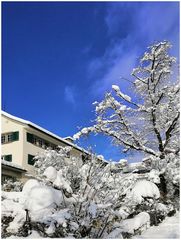 Letzte Woche im Zürcher Oberland