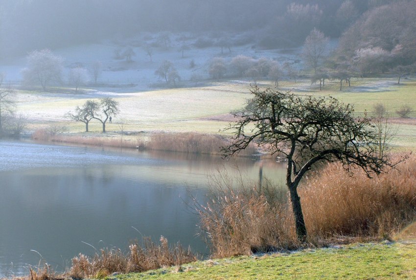 Letzte Woche in der Eifel