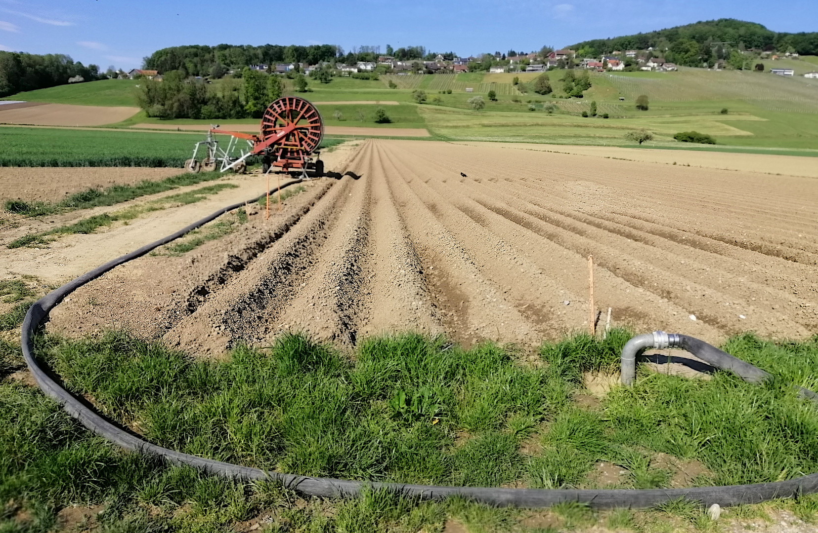 Letzte Woche: Kampf gegen die Trockenheit