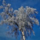 Letzten Donnerstag in Münster war Winter angesagt