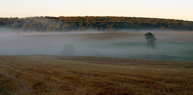 letzten Herbst...