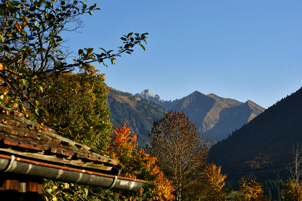 Letzten Herbst bei uns im Garten