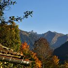 Letzten Herbst bei uns im Garten