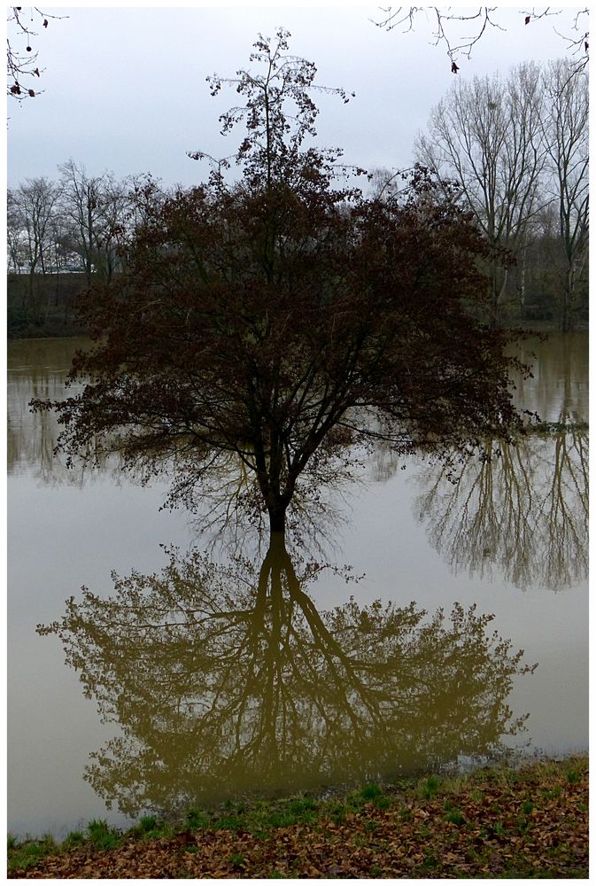 Letzten Samstag am Neckar