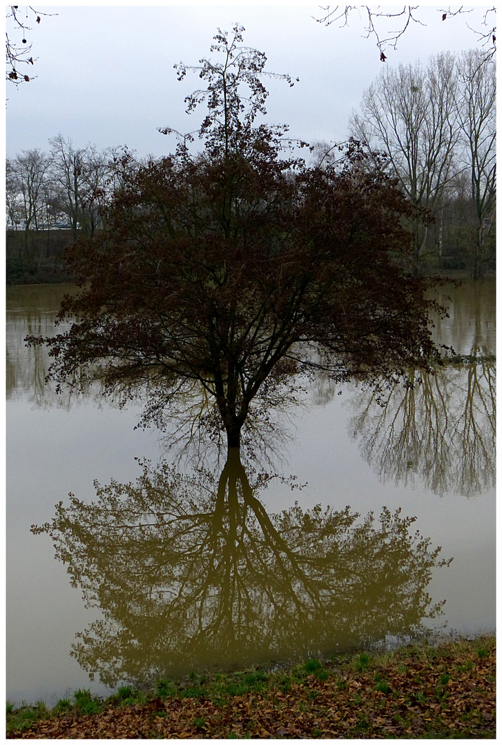 Letzten Samstag am Neckar