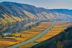 Letzten Samstag an der Mosel