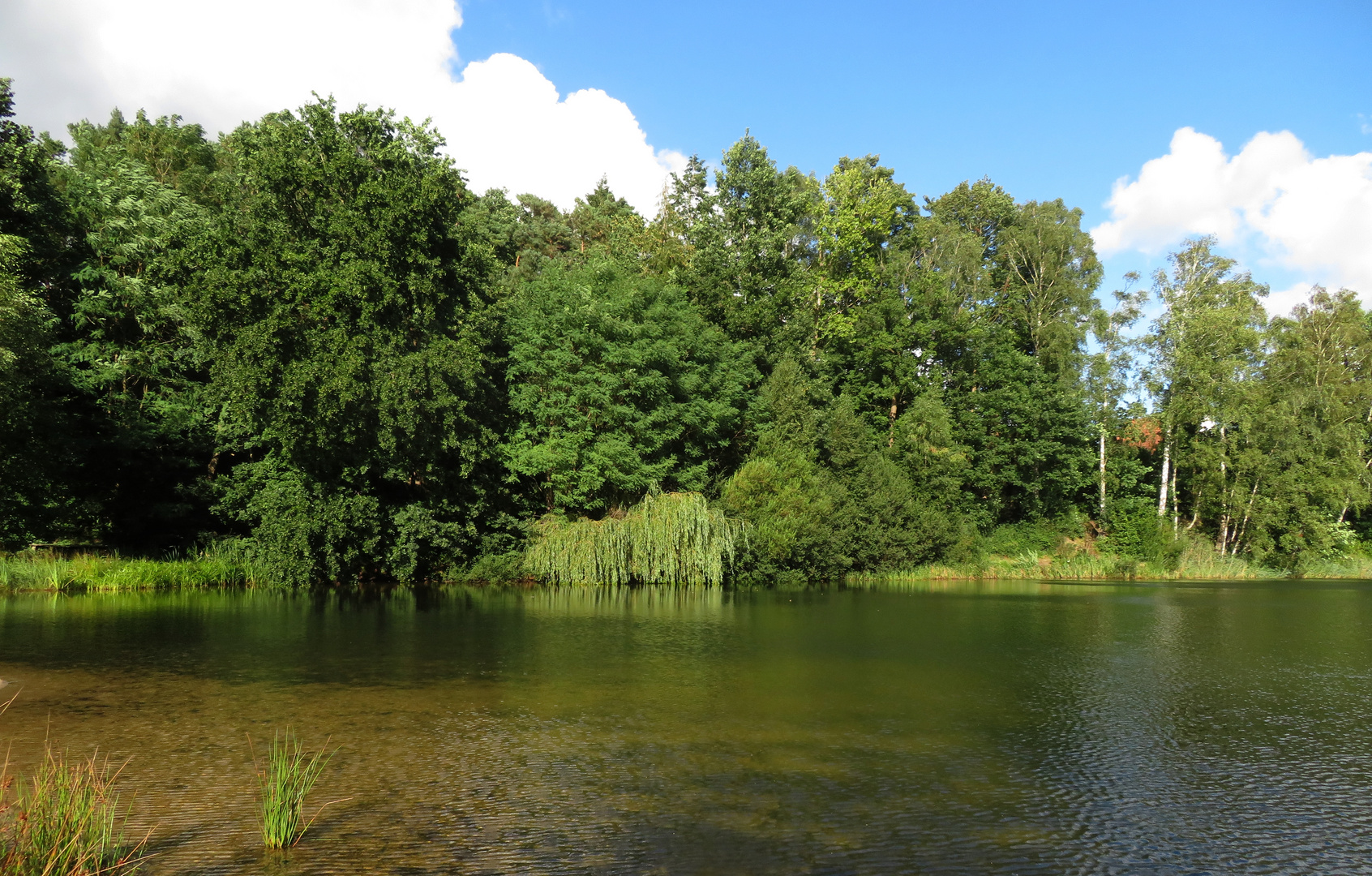 letzten Sommer am See