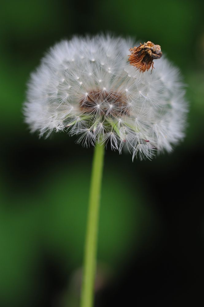 Letzten Sommer.