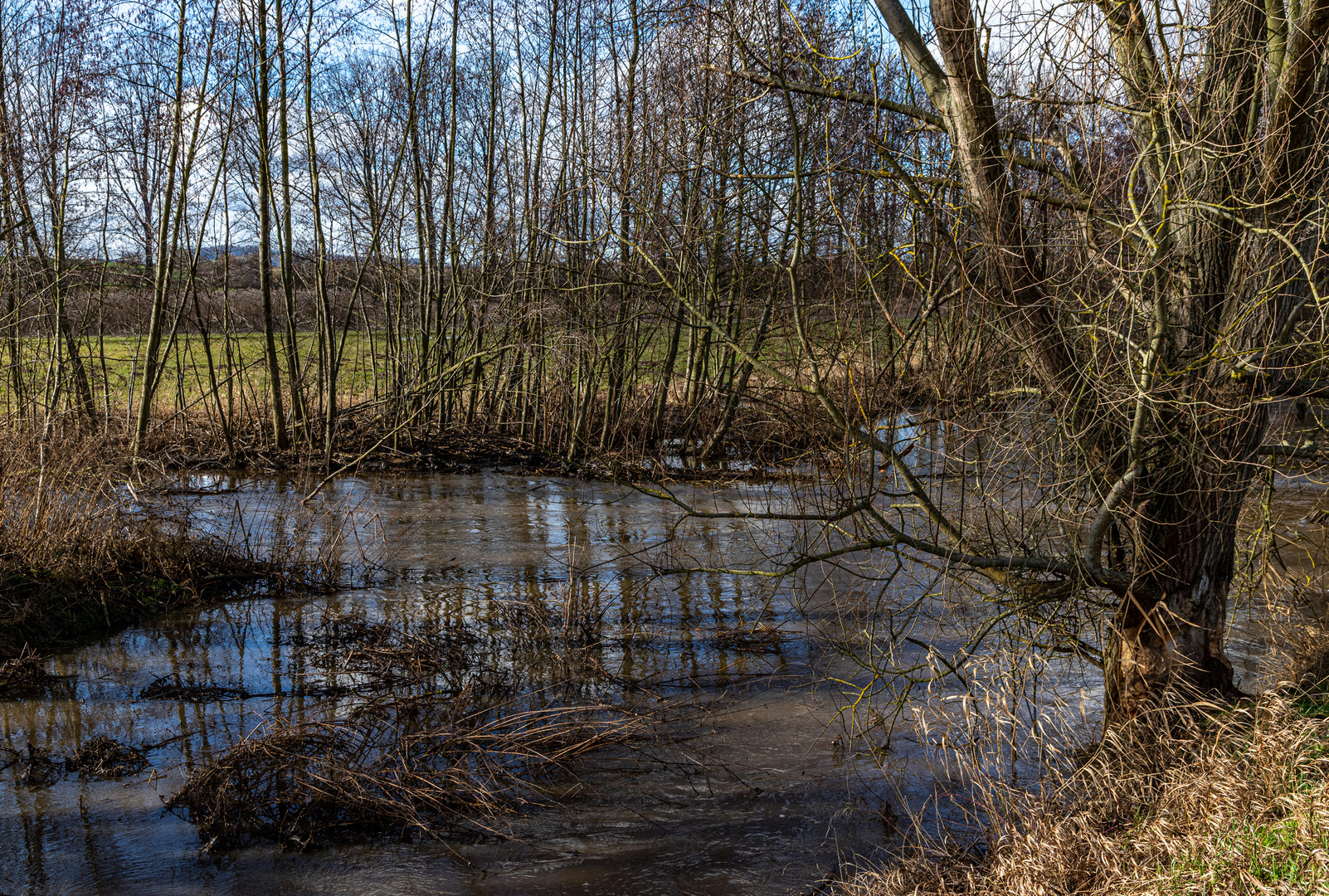 Letzten Sommer