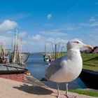 Letzten Sommer in Greetsiel